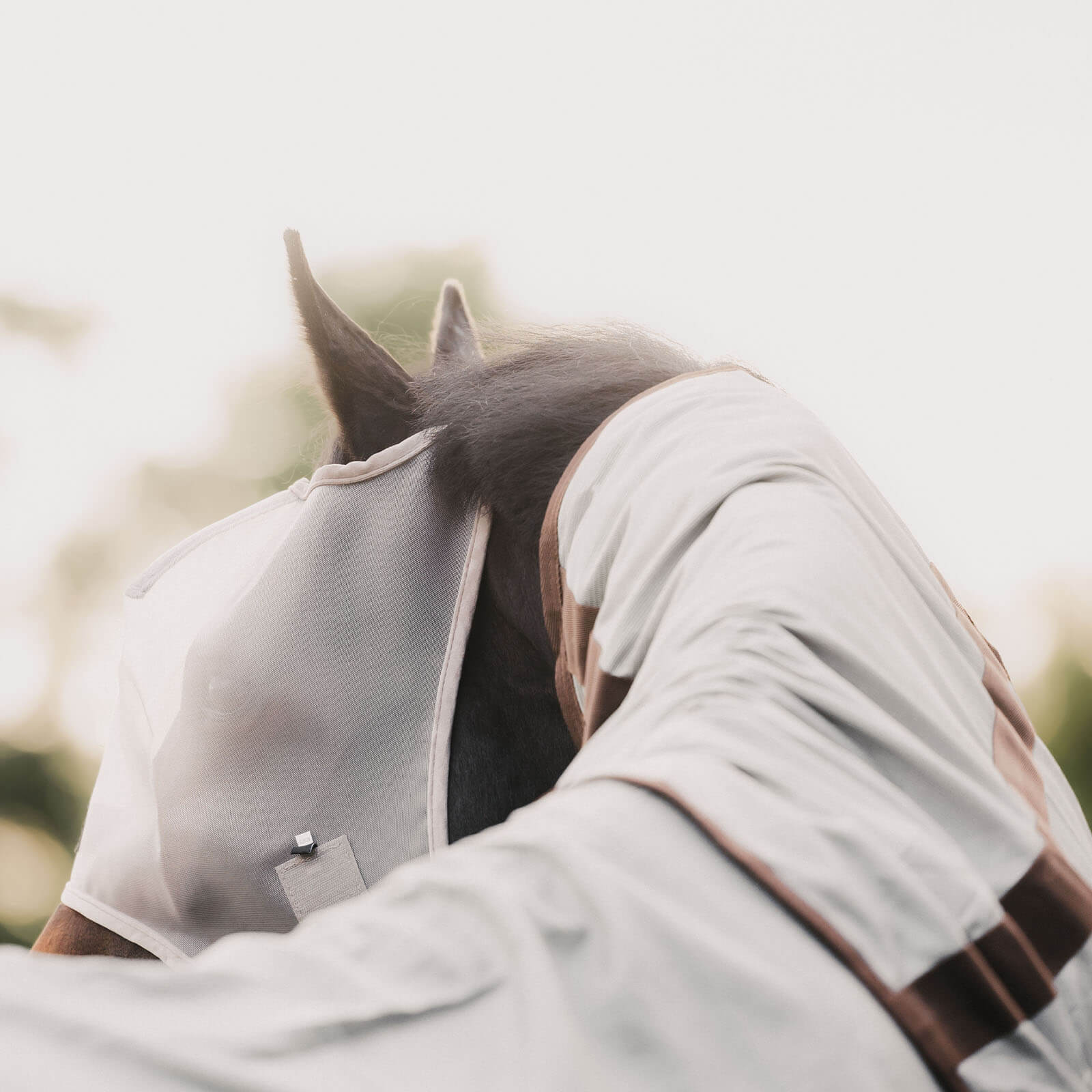 Fliegenmaske Classic ohne Ohren Fliegenschutz