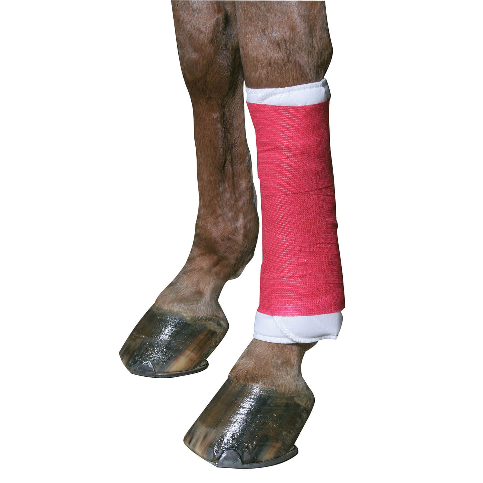 Bandage Selbsthaftend EquiLastic Beinschutz