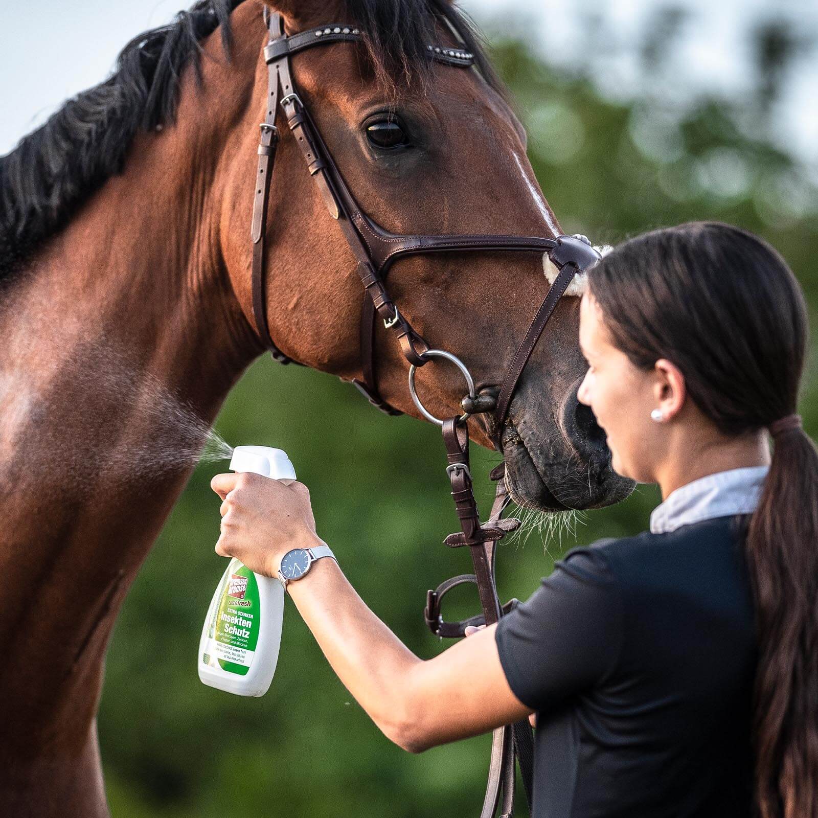 Insektenschutz Horseguard Insektenspray Fliegenspray