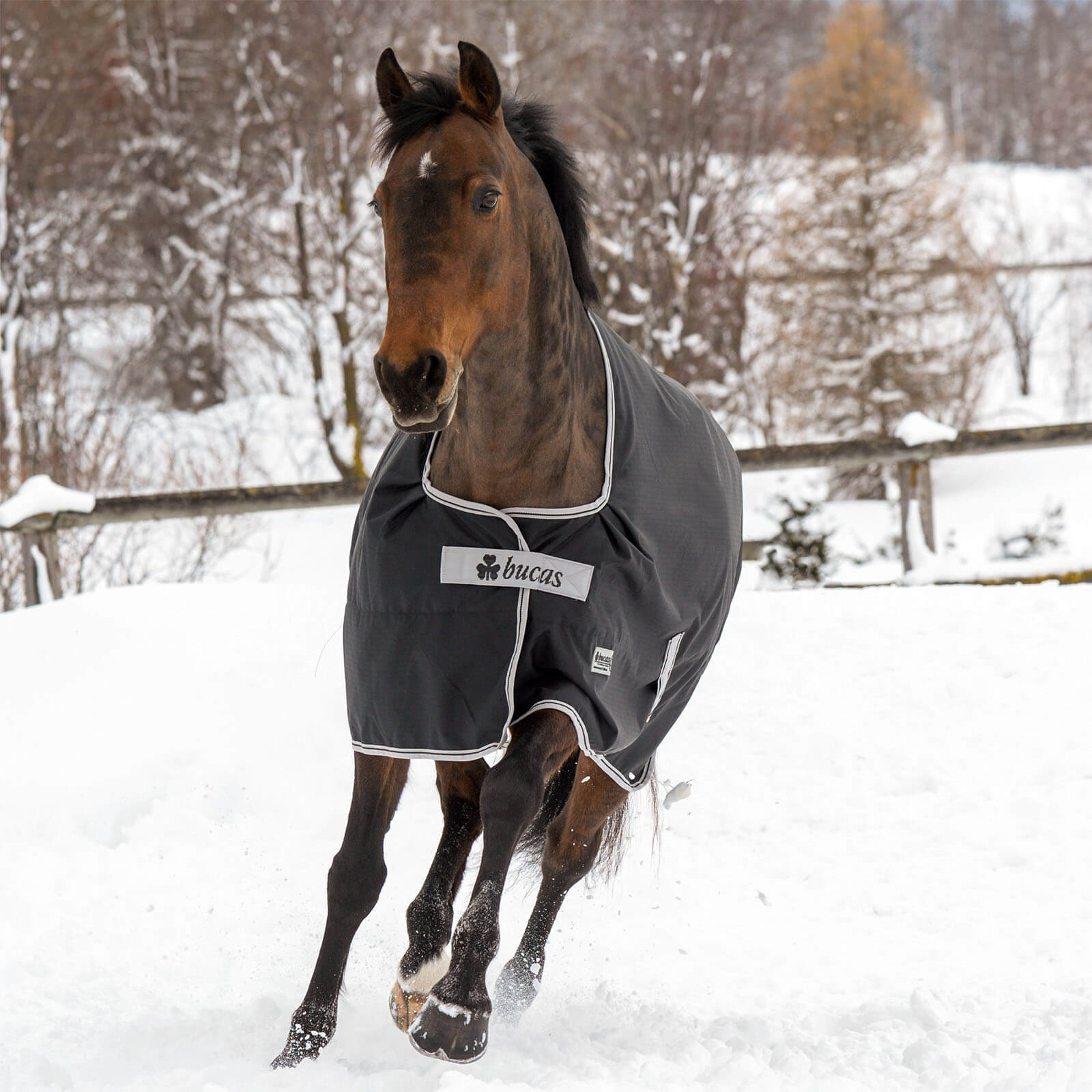 Outdoordecke 50g Anniversary Turnout Weidedecke