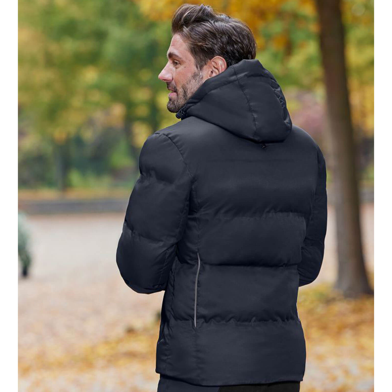 Jacke Herren Winter Lightweight Jacke Montana Herrenjacke