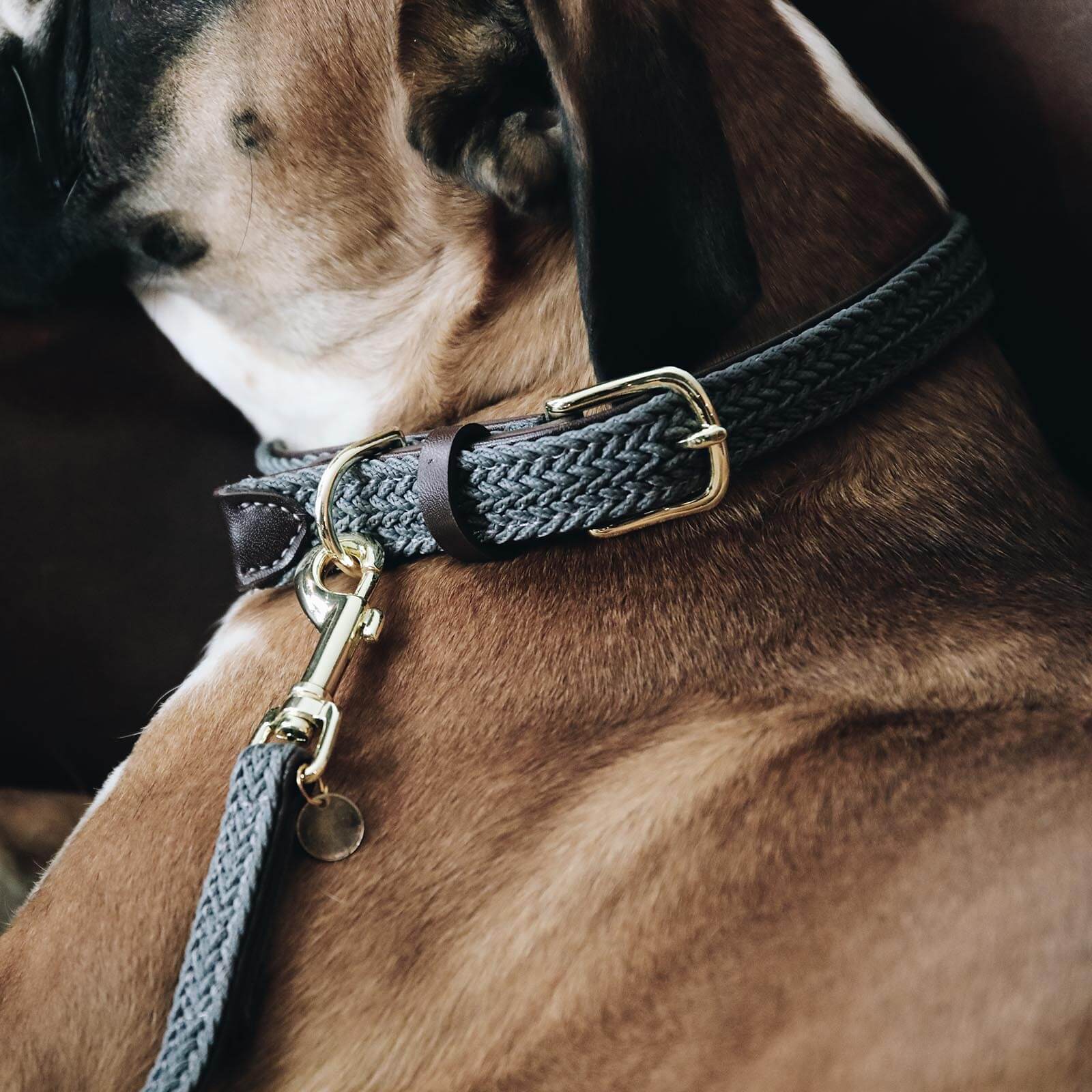 Hundehalsband Geflochten Nylon