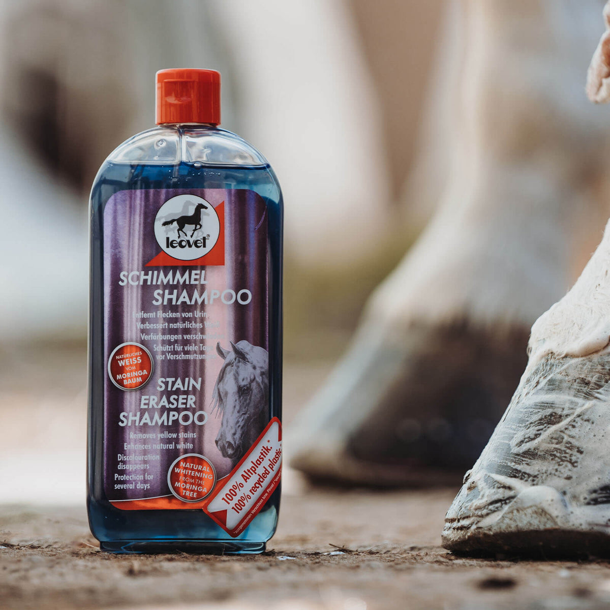 Schimmel Shampoo