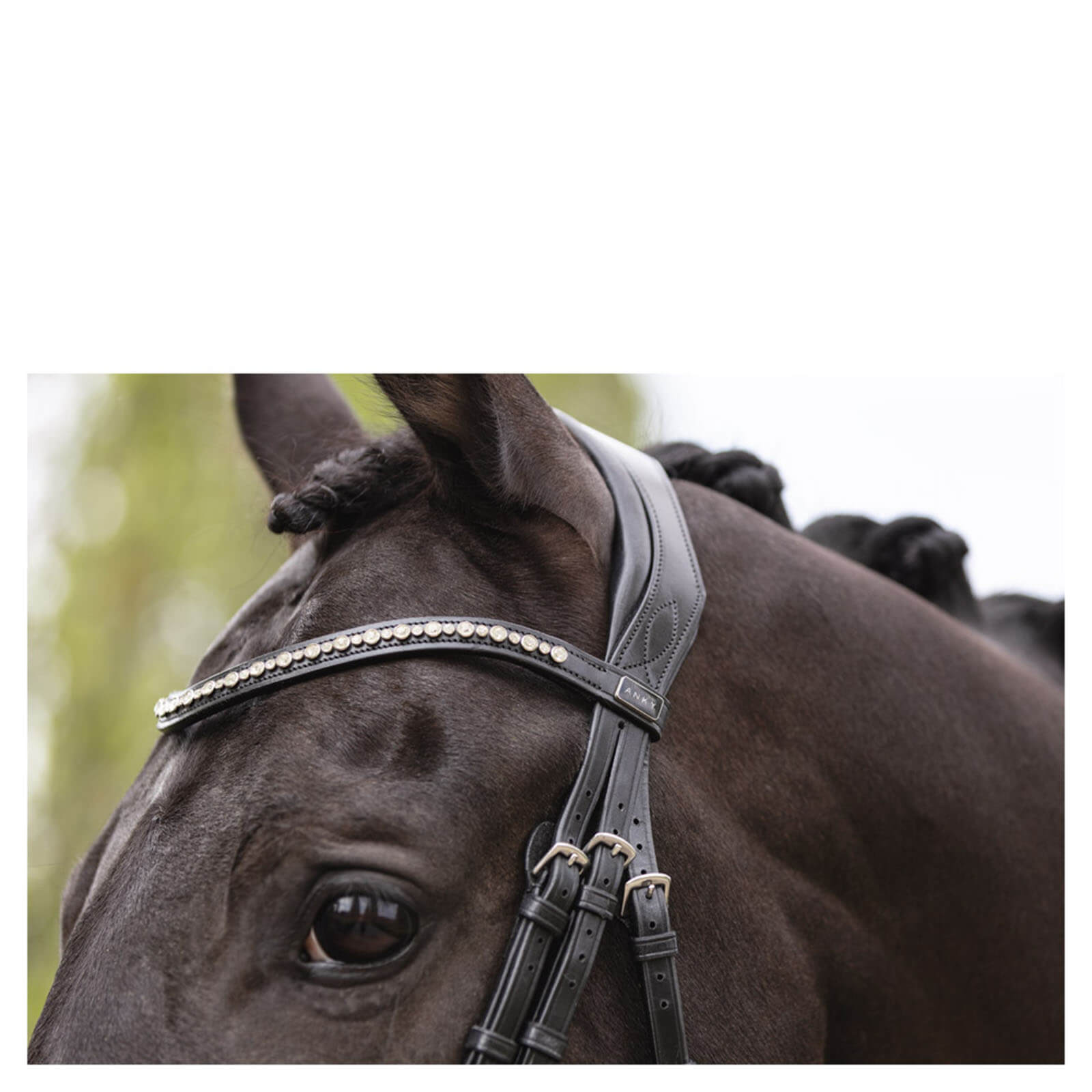 Trense ATH19003 Comfort Line Trensenzaum