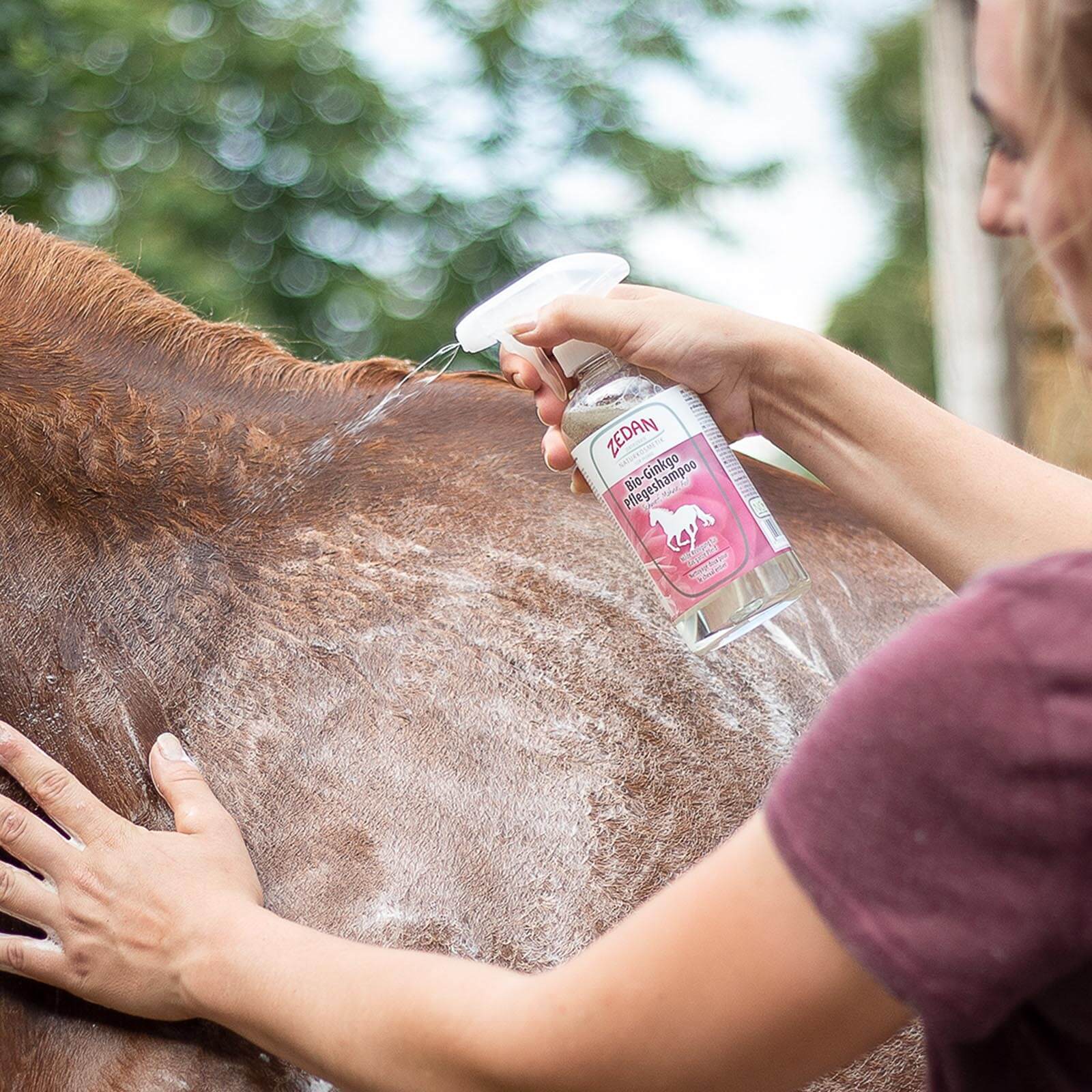 Bio-Ginkgo Pferdeshampoo