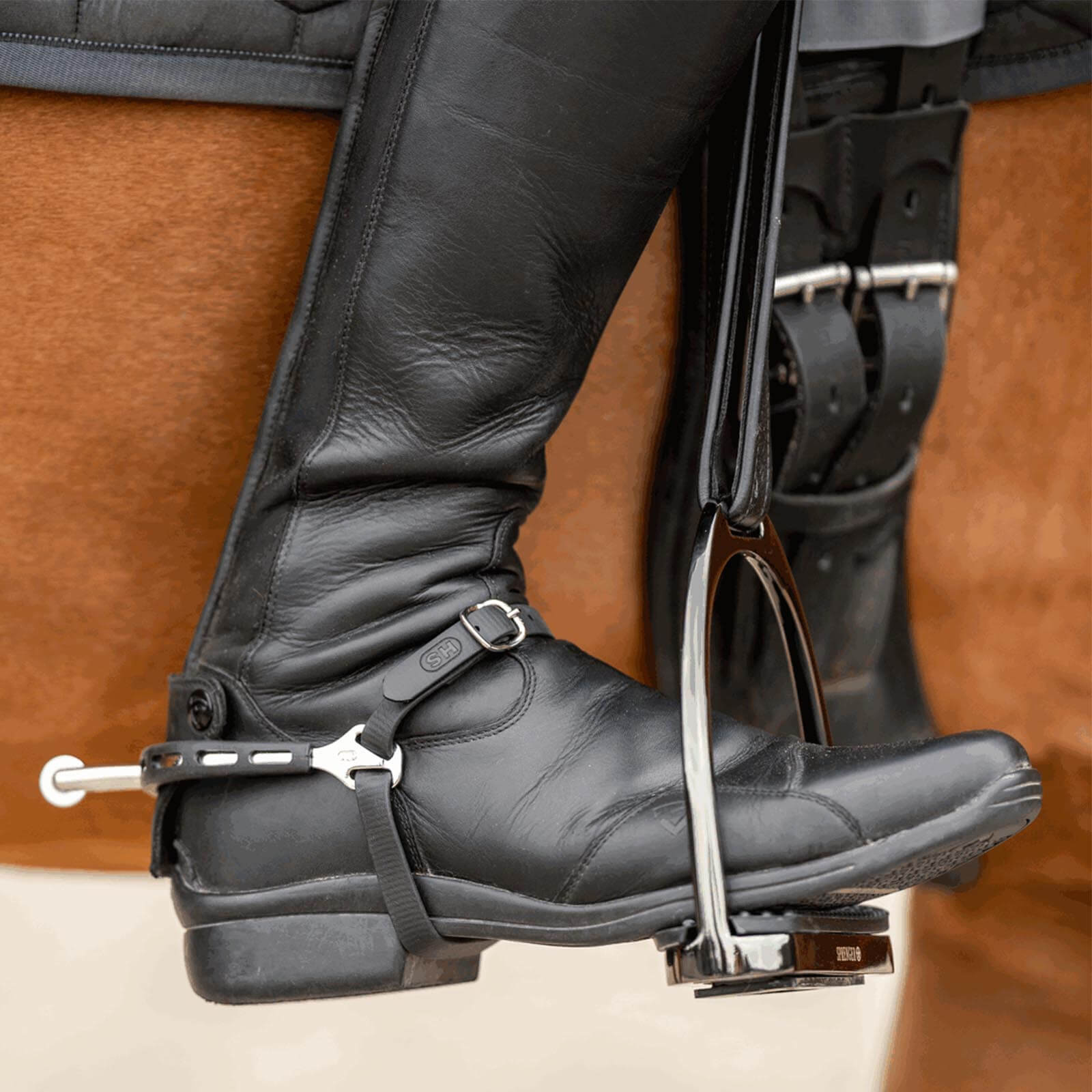 Sporen Ultra Fit Extra Grip 40 mm abgerundet mit kleinem Ballrad, Schwarz, am Reitstiefel getragen.