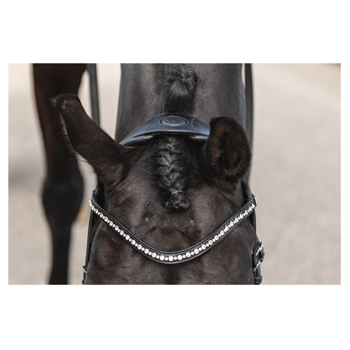 ANKY Trense ATH19002 Comfort Fit Trensenzaum, Schwarz, Pferd von vorn mit Stirnriemen.