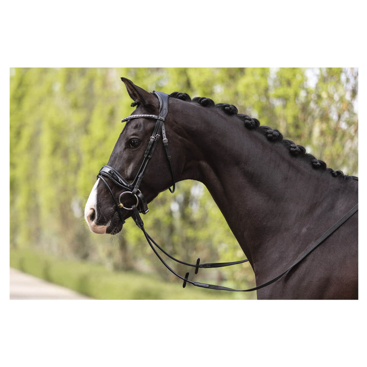 ANKY Trense ATH19002 Comfort Fit Trensenzaum, Schwarz, Pferdekopf in der Trense.