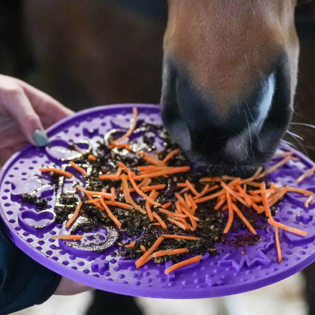 Beschäftigungsmatte Likit Graze Maze Schleckmatte, Lila, Pferd frisst davon.