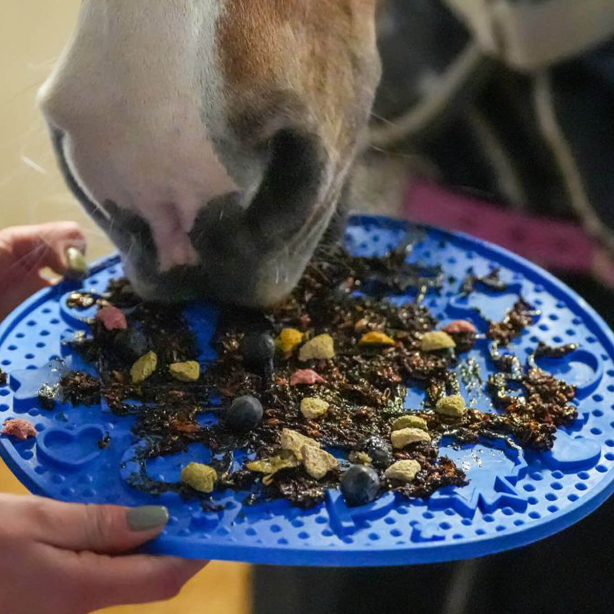 Beschäftigungsmatte Likit Graze Maze Schleckmatte, Blau, Pferd frisst von der Matte.
