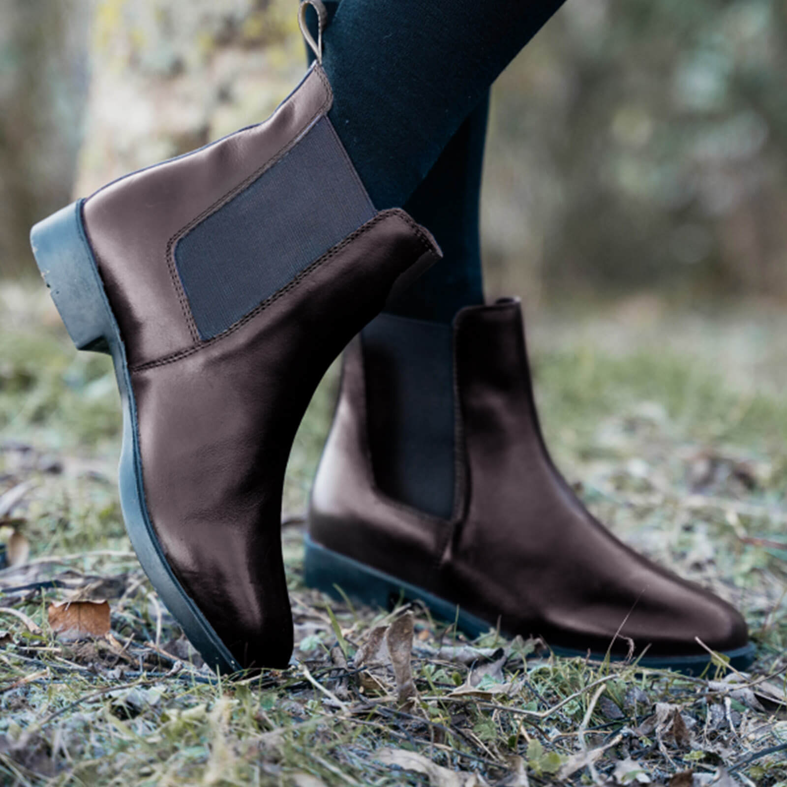 Jodhpurstiefelette Classic Reitstiefeletten