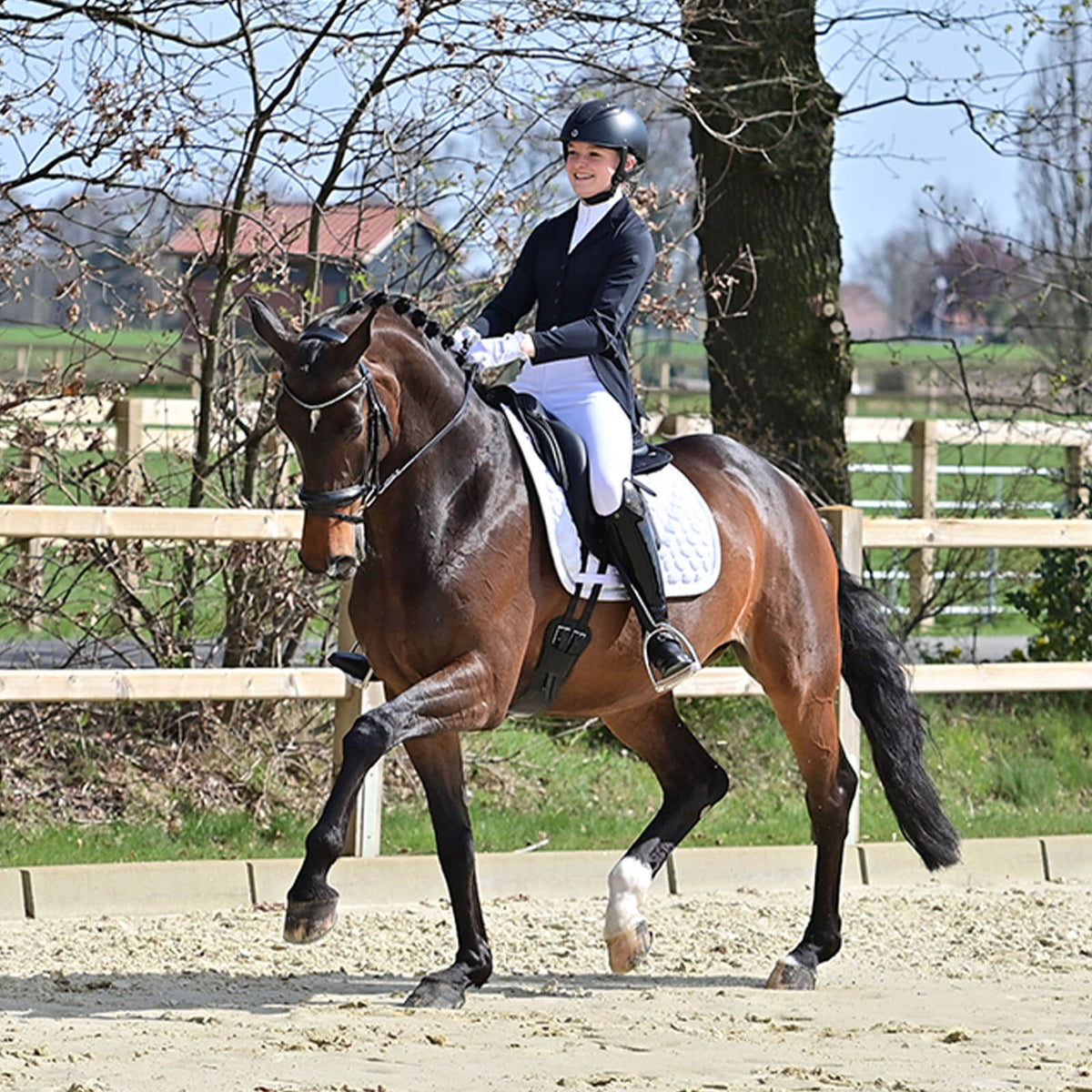 Turnier-Sakko Almeria Reitsakko, Schwarz, Reiterin auf Pferd im Dressurviereck.