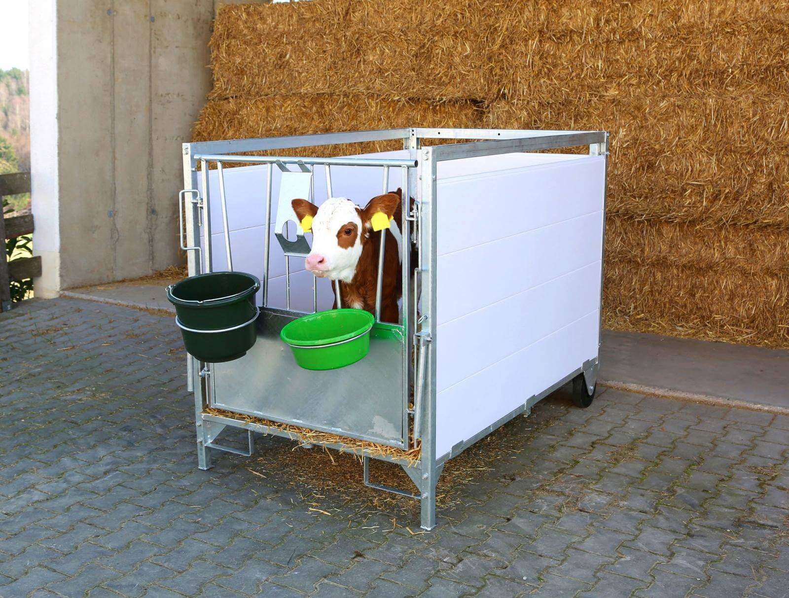 Stall- und Baueimer