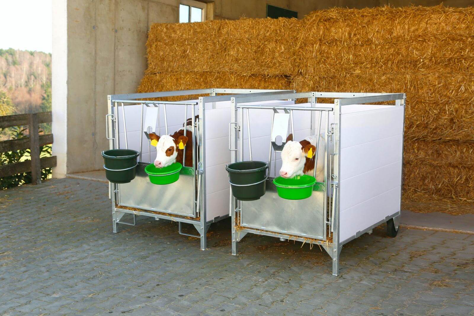 Stall- und Baueimer