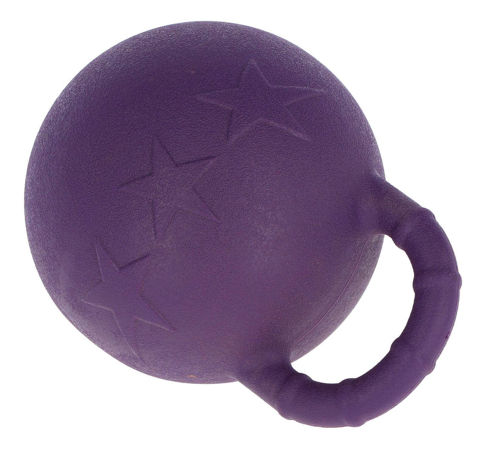 Pferdespielball