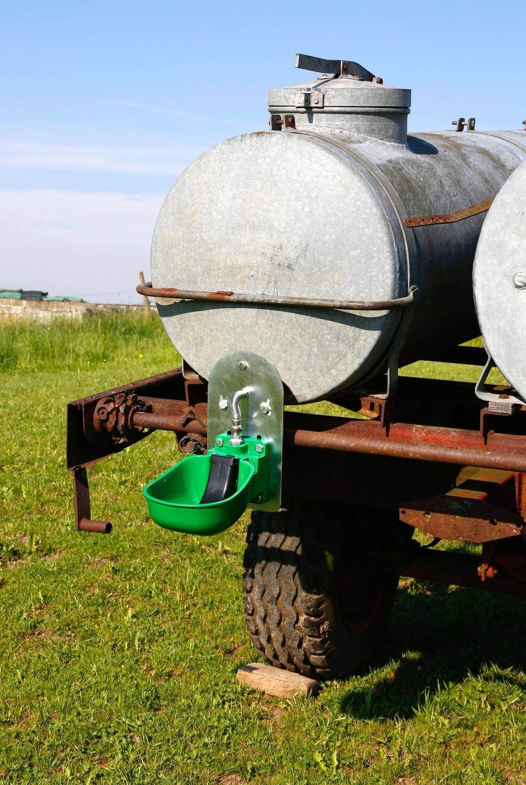 KERBL Tränkebecken KN50 für Wasserfass, Grün, am Wasserfass montiert auf der Weide.