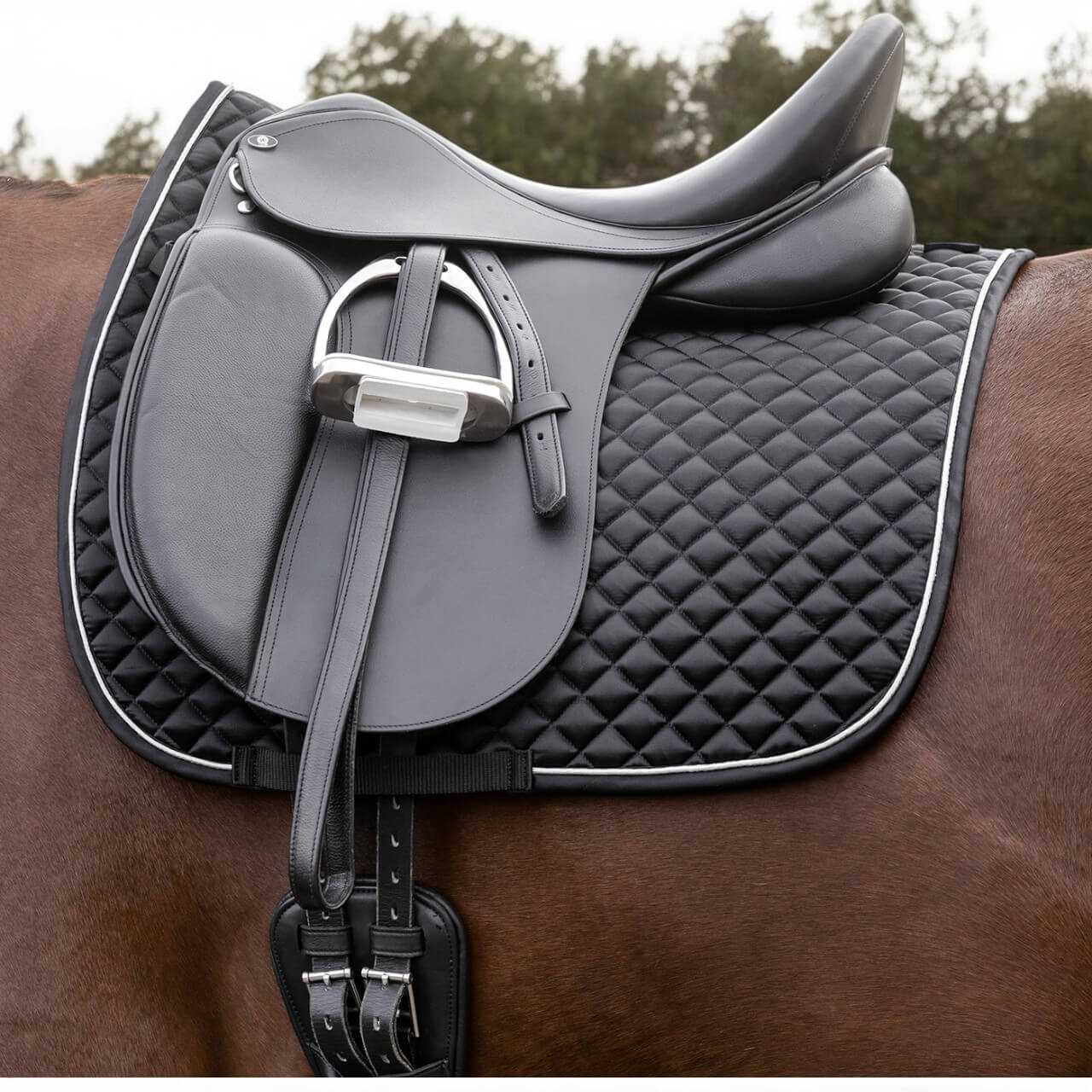 Schabracke Felix Glam Saddle Pad