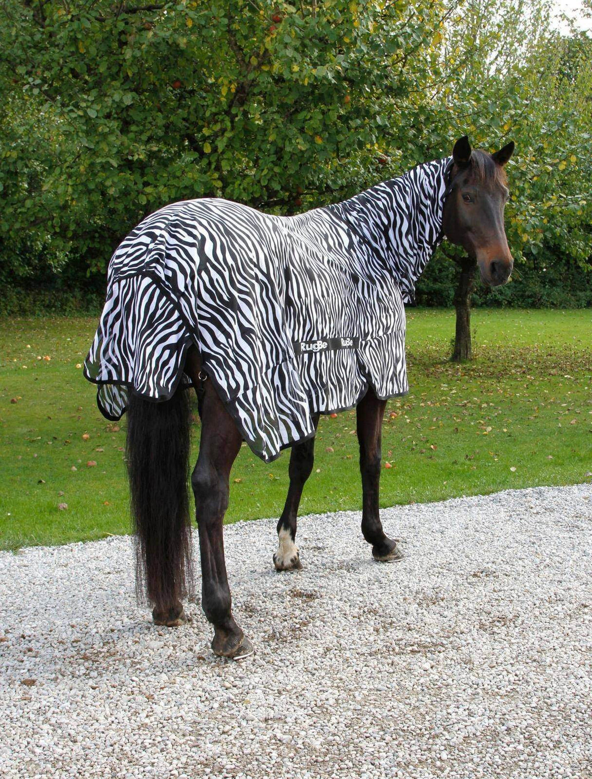Fliegendecke RugBe Zebra mit Halsteil, mehrfarbig, Pferd trägt die Decke auf der Weide.