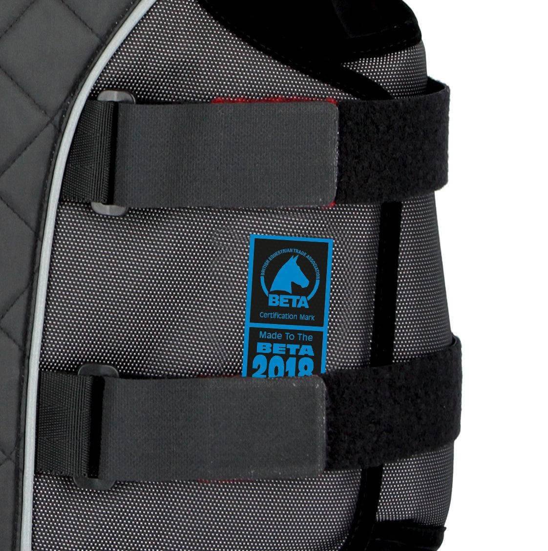 Sicherheitsweste Erwachsene ProtectoFlex light Rückenprotektor