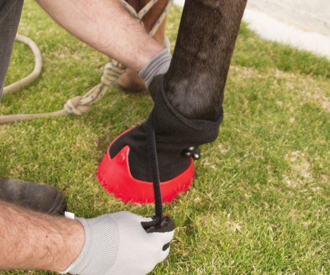 Hufschuh Tubbease Behandlungsschuh Hufschutz