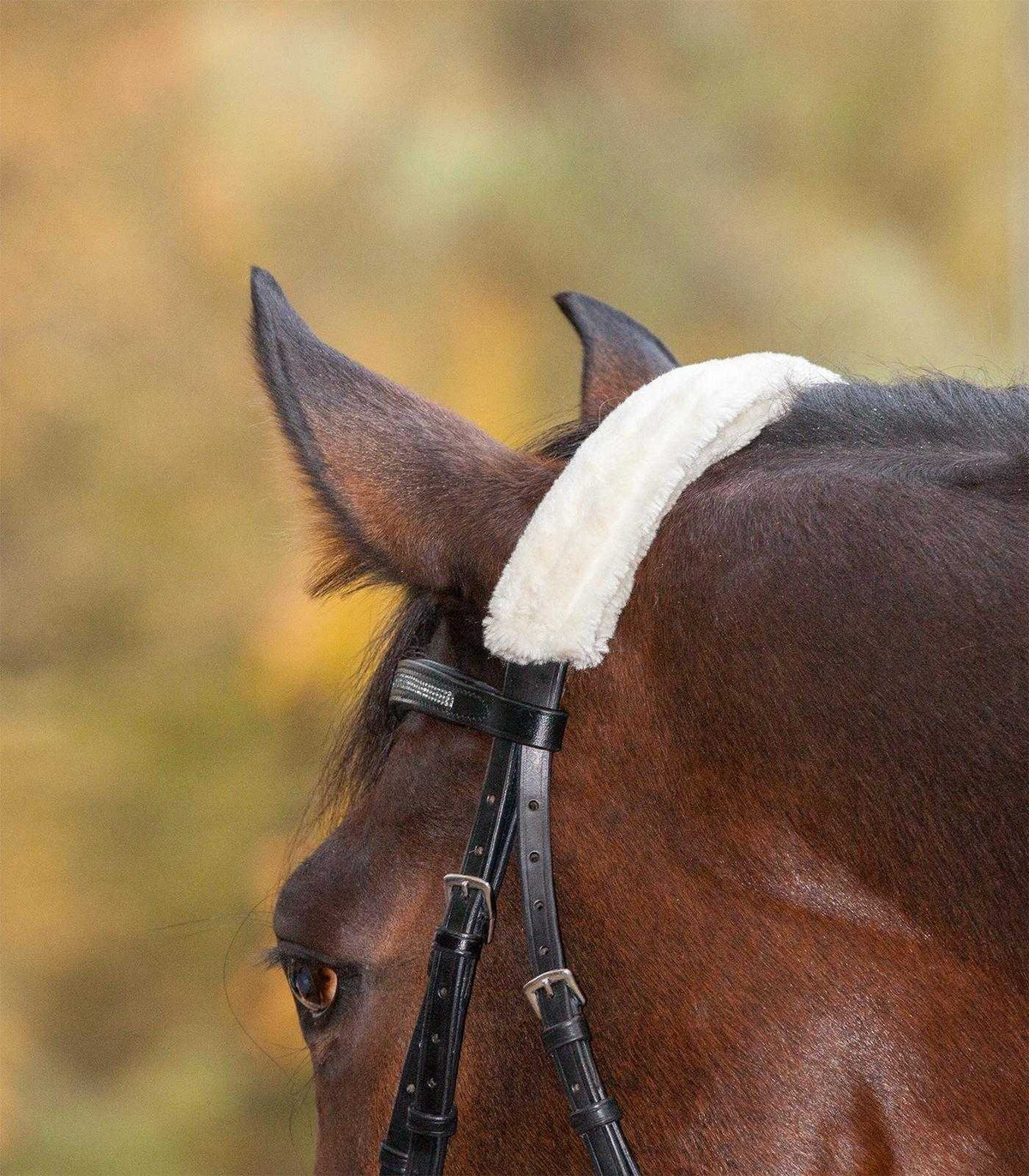 Nasenflauschband