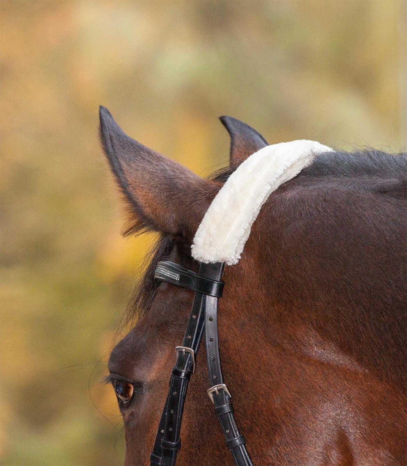 Nasenflauschband