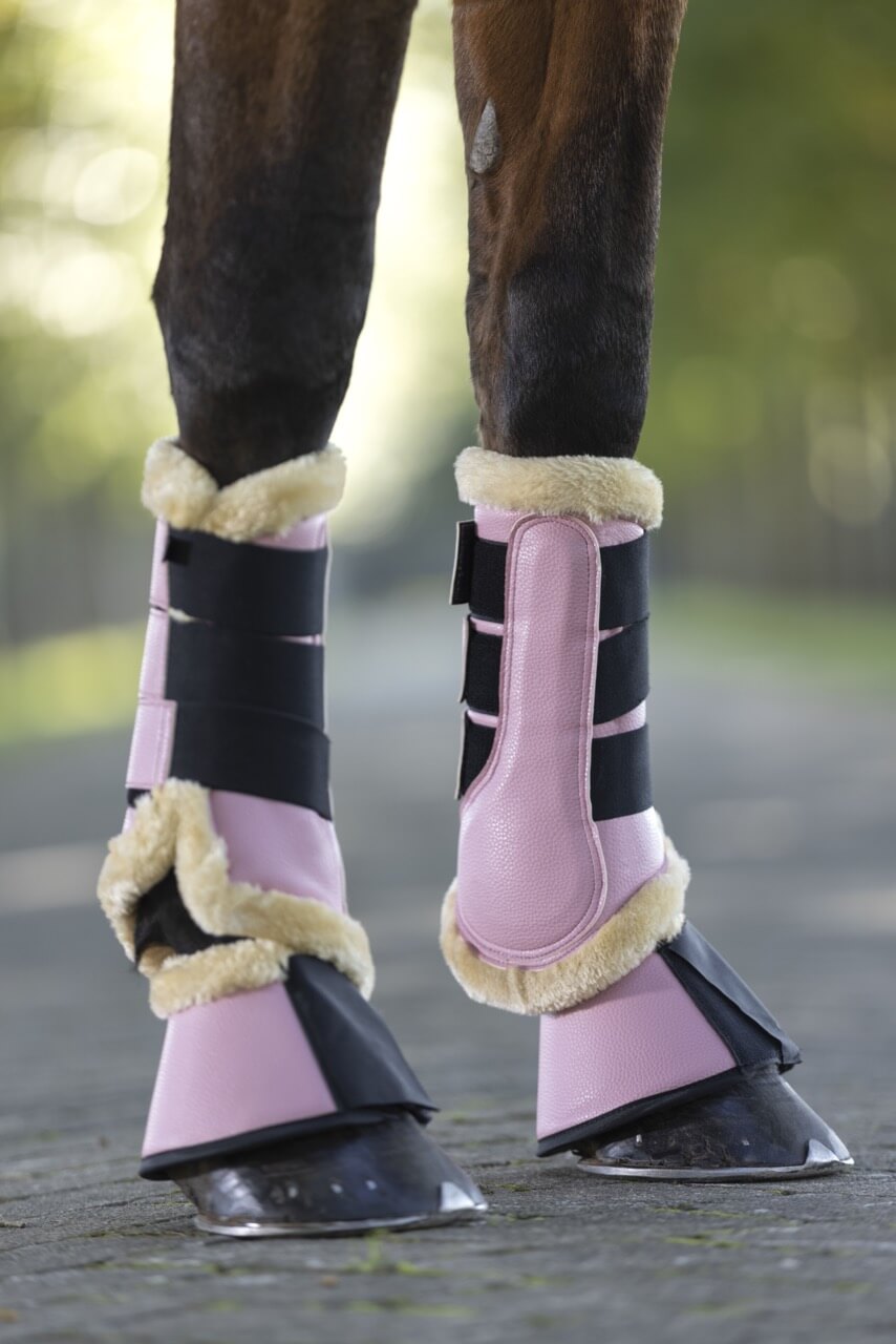 Gamaschen Comfort Premium Fur Dressurgamaschen