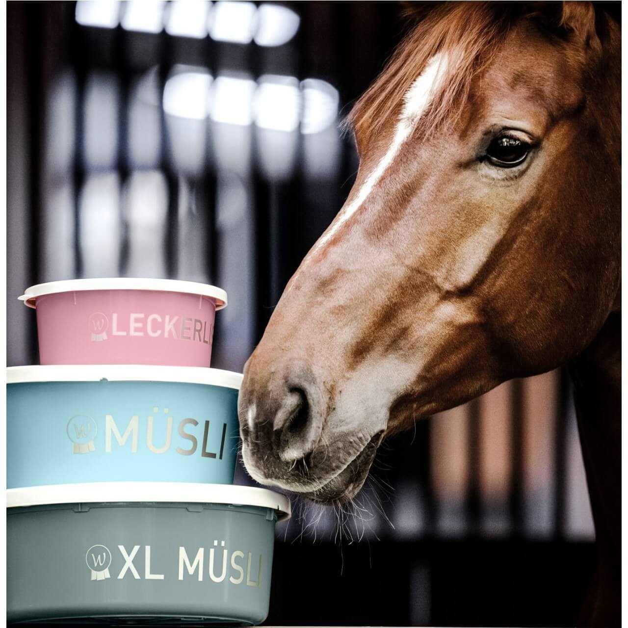 Müsli-Schale XL mit Deckel Futterschüssel Pferd