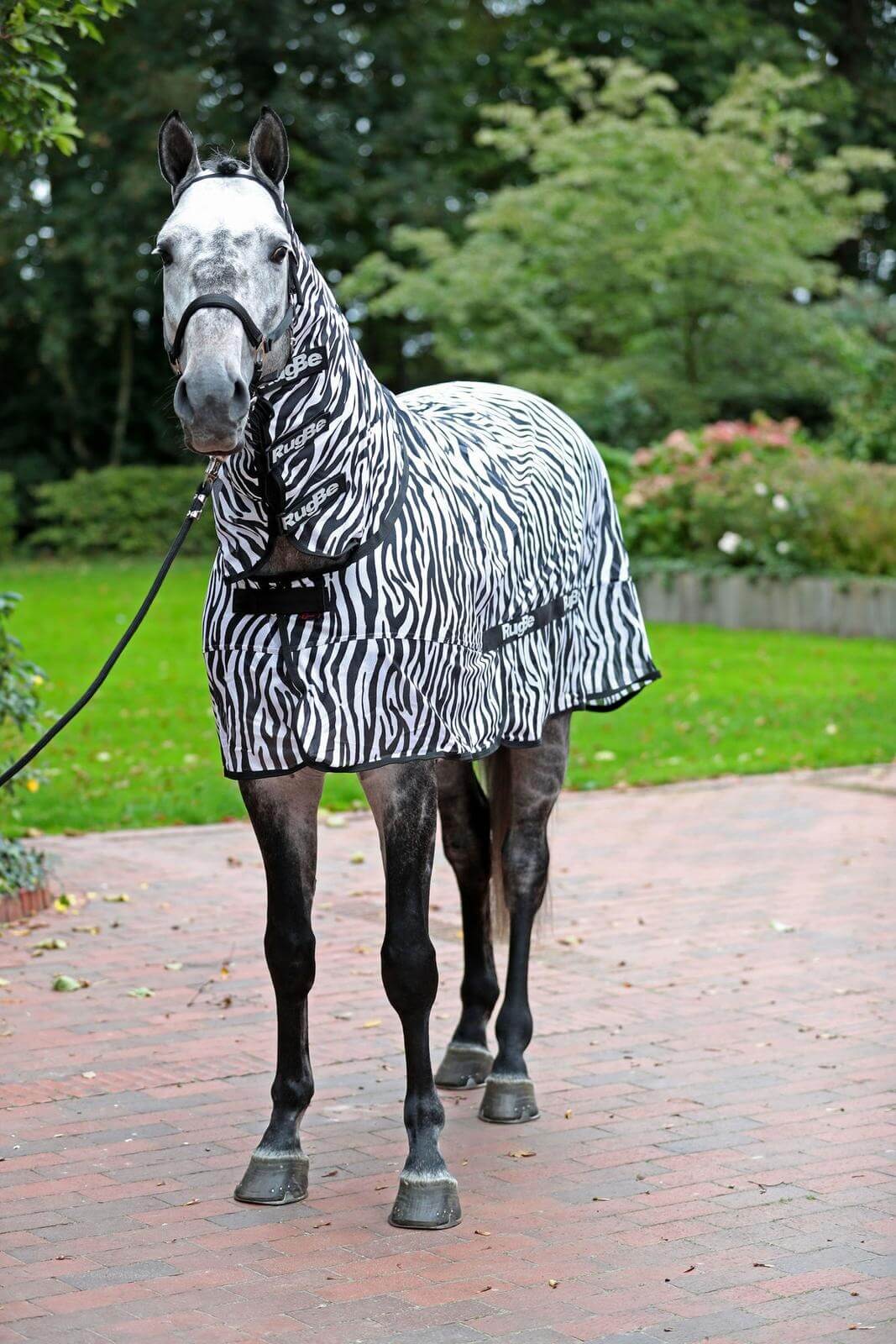 Fliegendecke RugBe Zebra mit Halsteil, mehrfarbige Zebra-Optik, Pferd trägt die Decke im Freien.