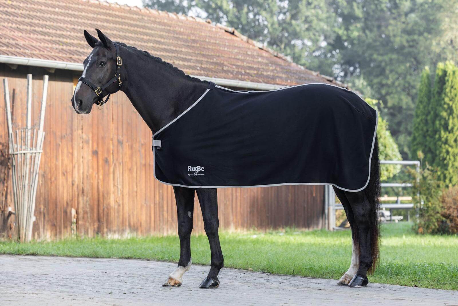 Abschwitzdecke RugBe Economic Fleecedecke