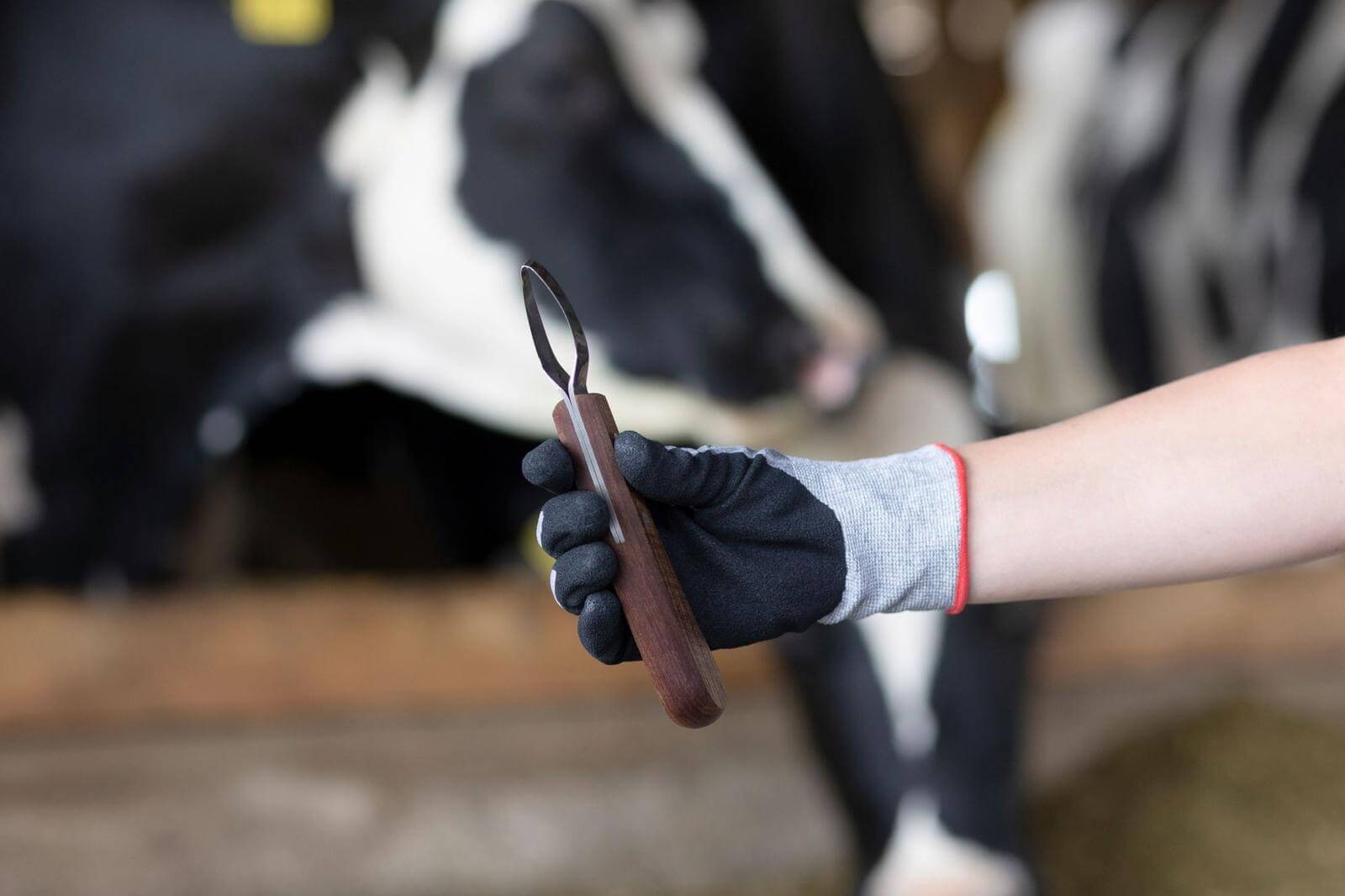 Huf- und Klauenmesser ProfiLoop Pflegespray