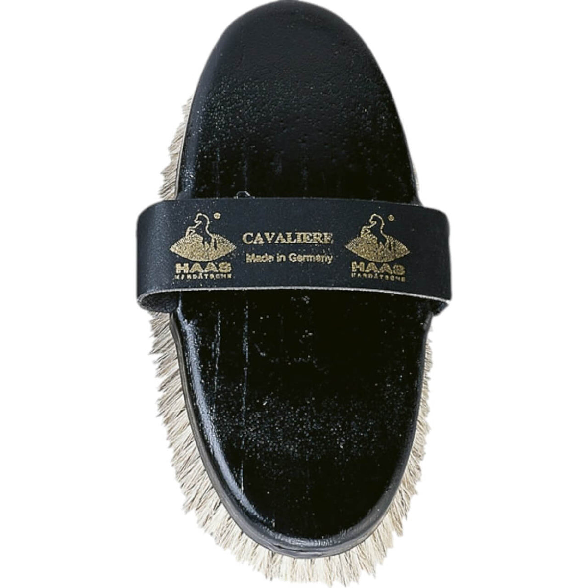 Cavaliere