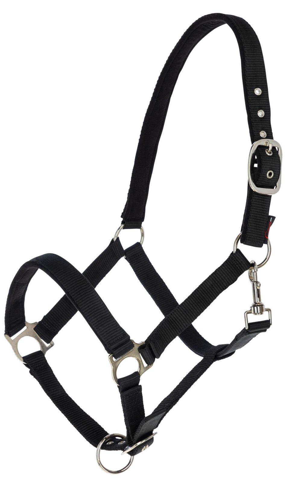 Halfter Dexter mit Fleeceunterlage Nylonhalfter