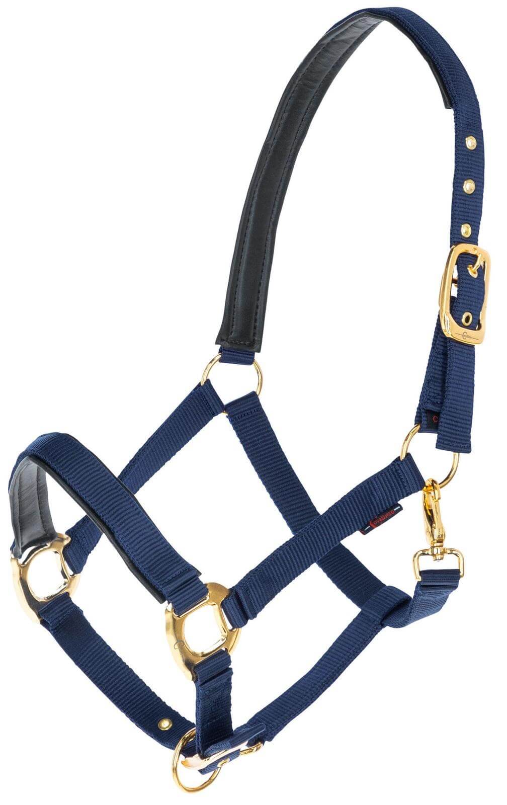 Halfter TopLine Nylonhalfter