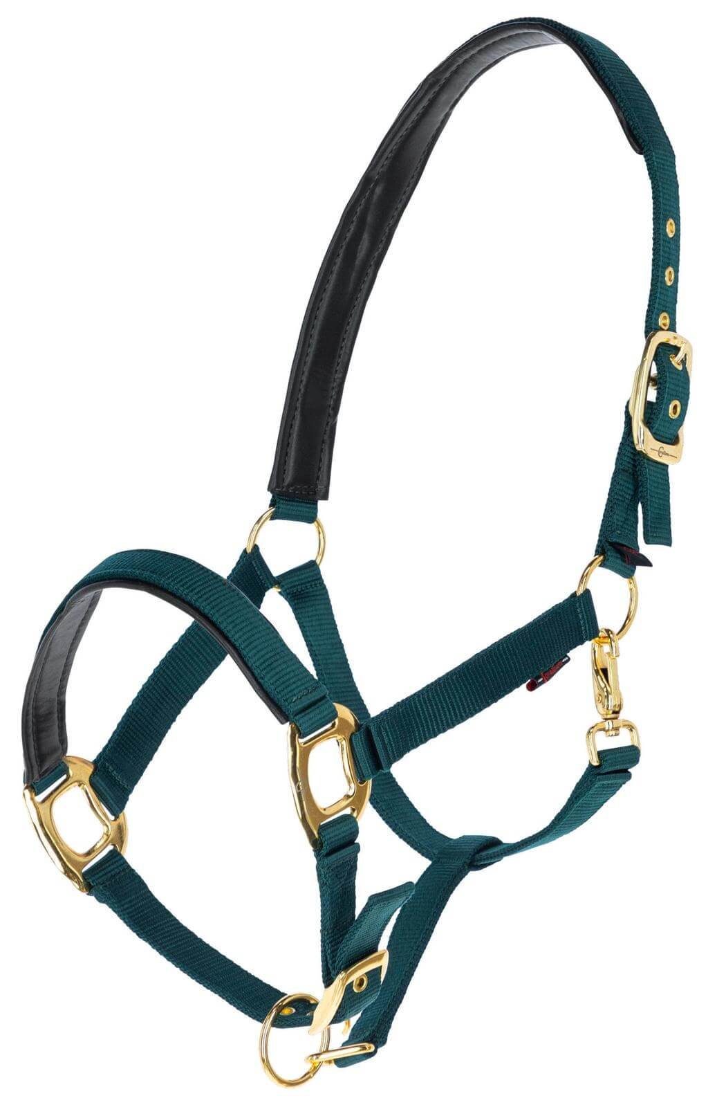 Halfter TopLine Nylonhalfter