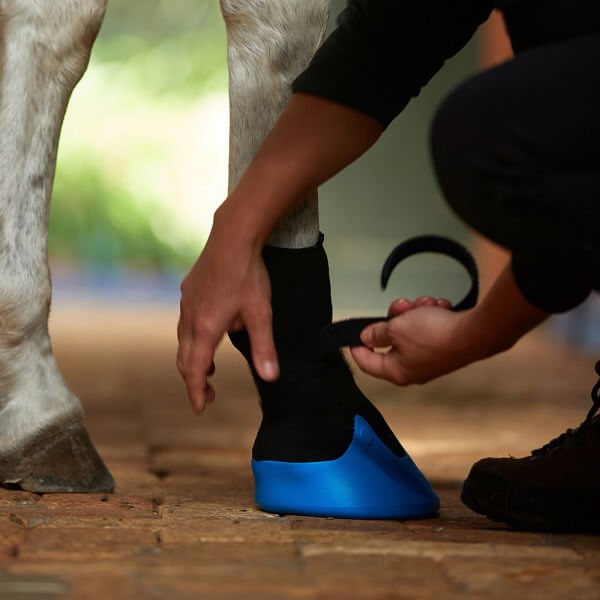 Hufschuh Tubbease Behandlungsschuh Hufschutz