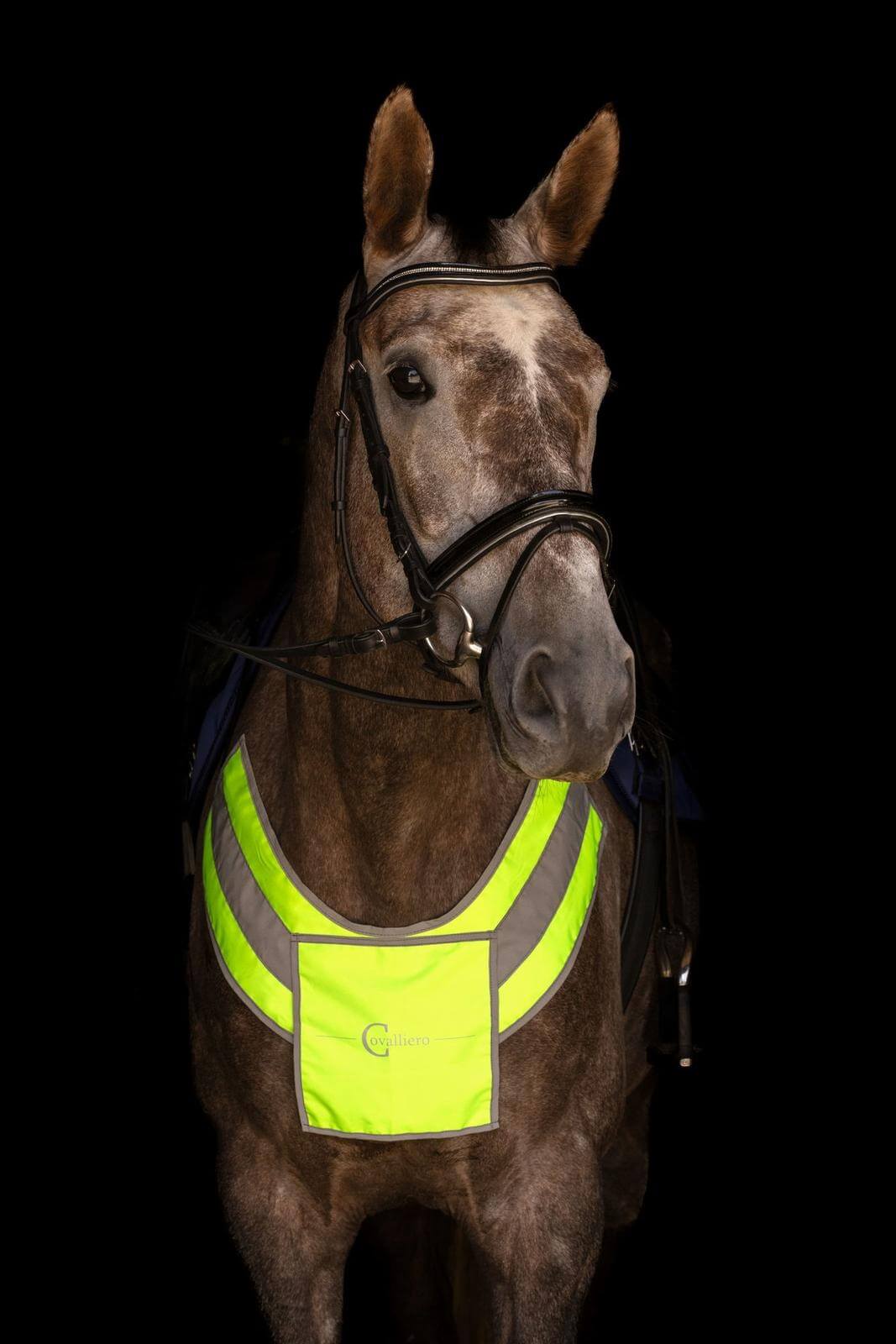 Covalliero Reflex Vorderzeug, Neon-Gelb, Pferd trägt es frontal.