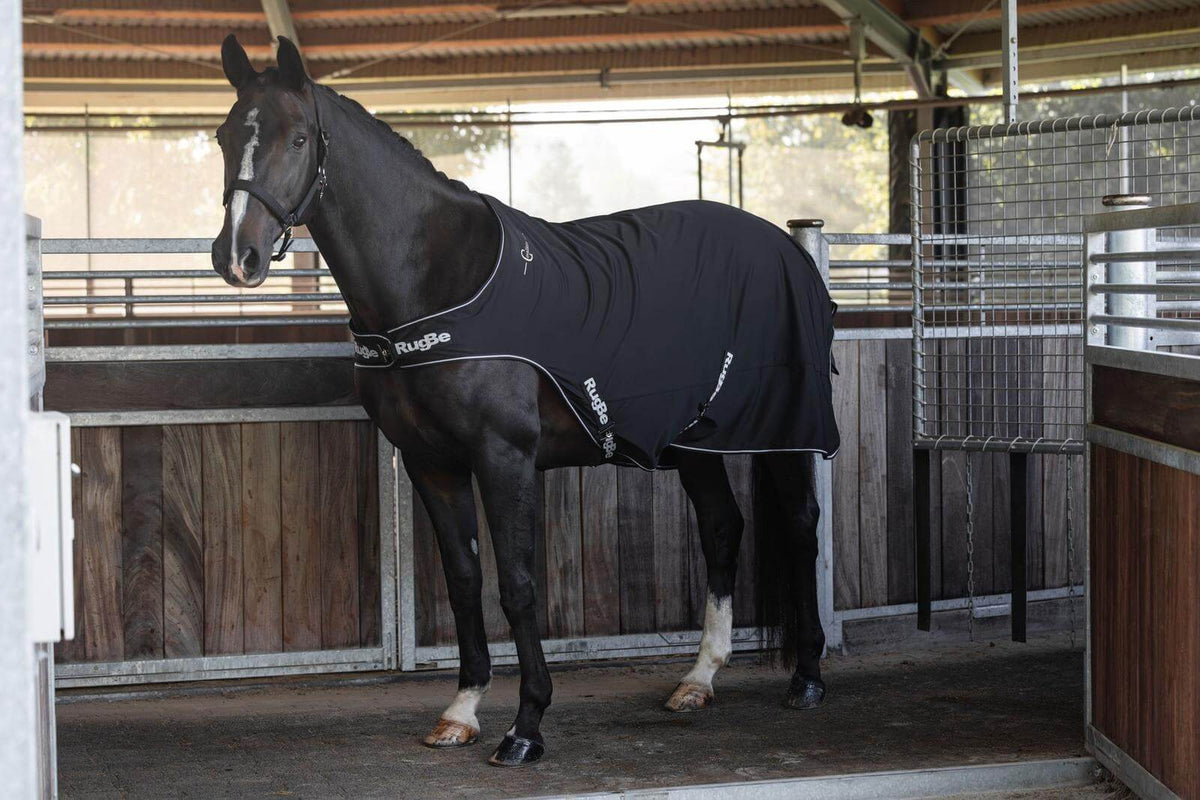 Führanlagen- und Spazierdecke RugBe, schwarzes Pferd im Stall mit der Decke.