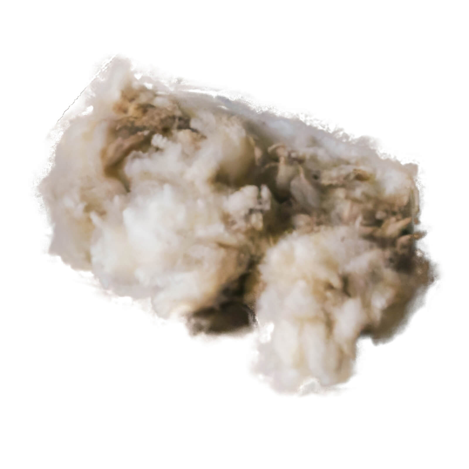 Therapeutische Wolle Therapeutic Wool 150g
