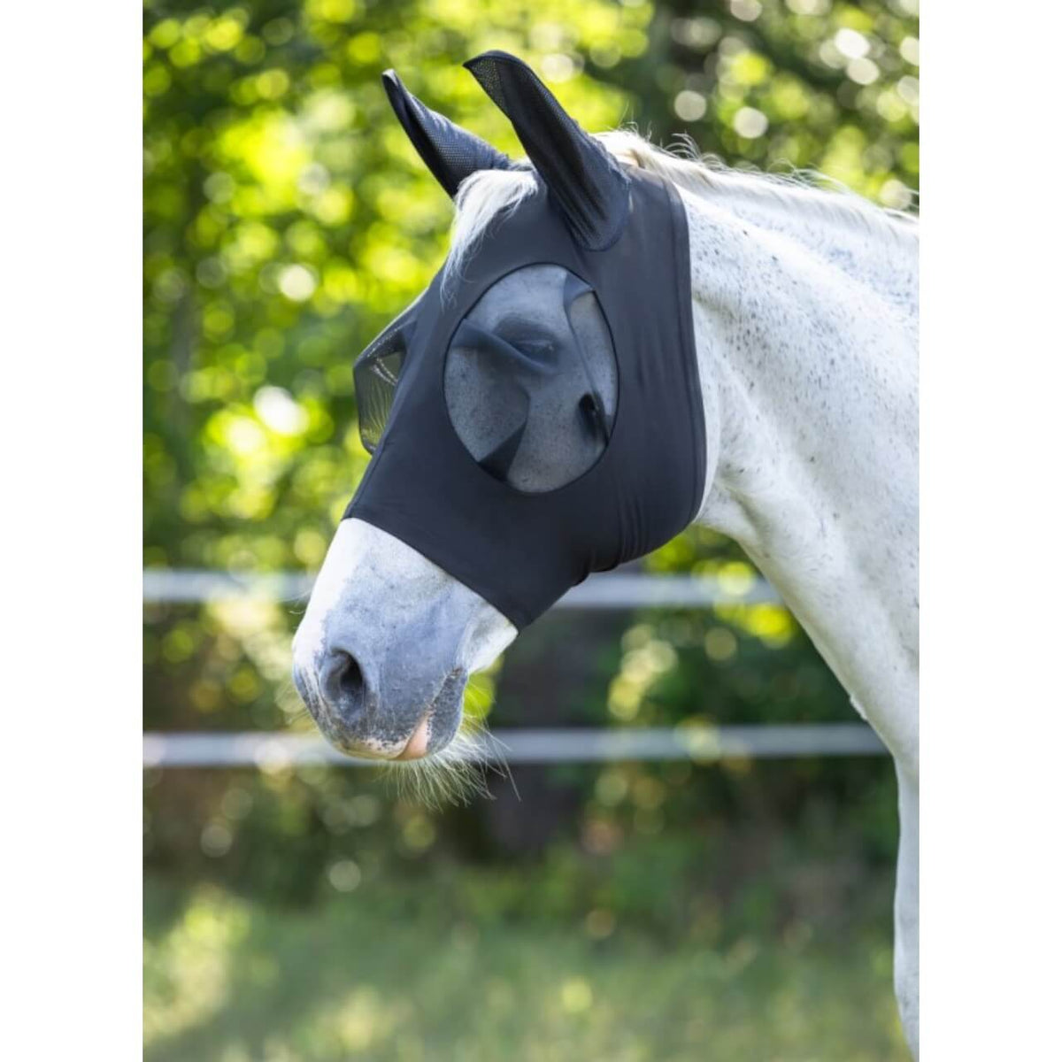 Covalliero Fliegenschutzmaske FinoStretch Fliegenmaske, Schwarz, Pferd trägt die Fliegenmaske.