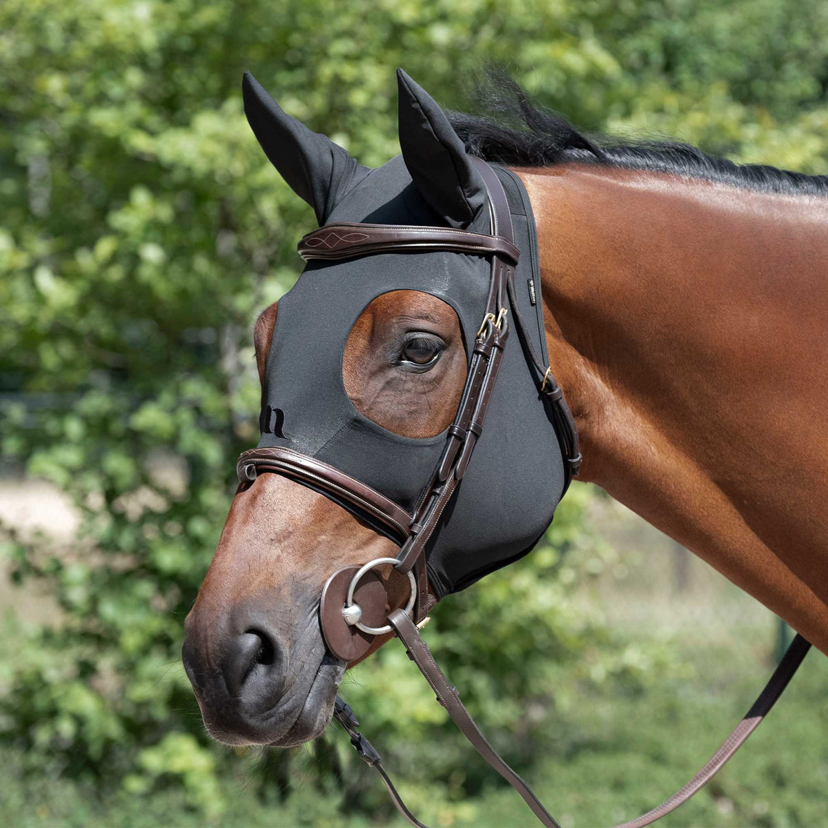 Therapeutische Maske Spirit Pferdemaske