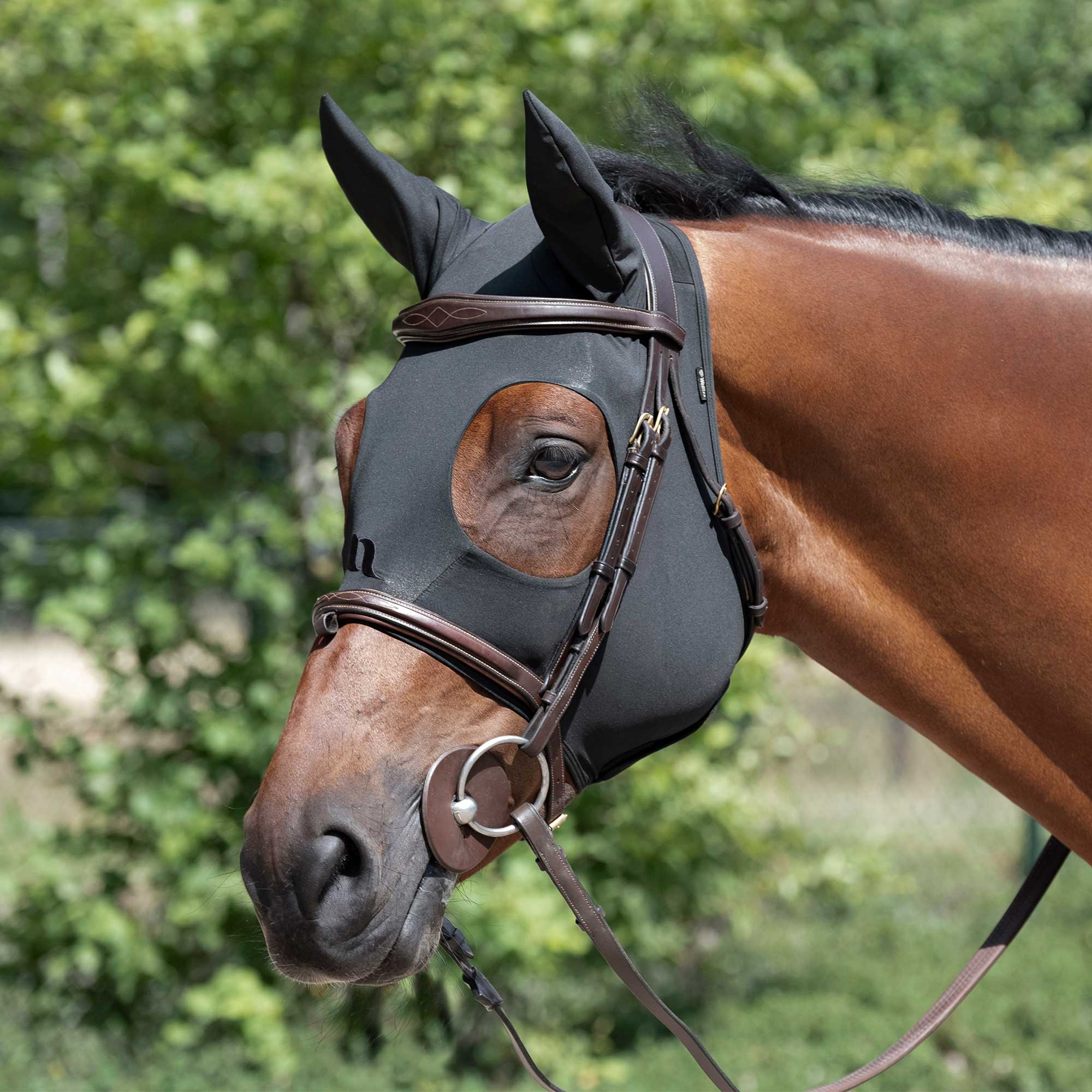 Back on Track Therapeutische Maske Spirit Pferdemaske, Schwarz, Pferd mit Maske im Profil.