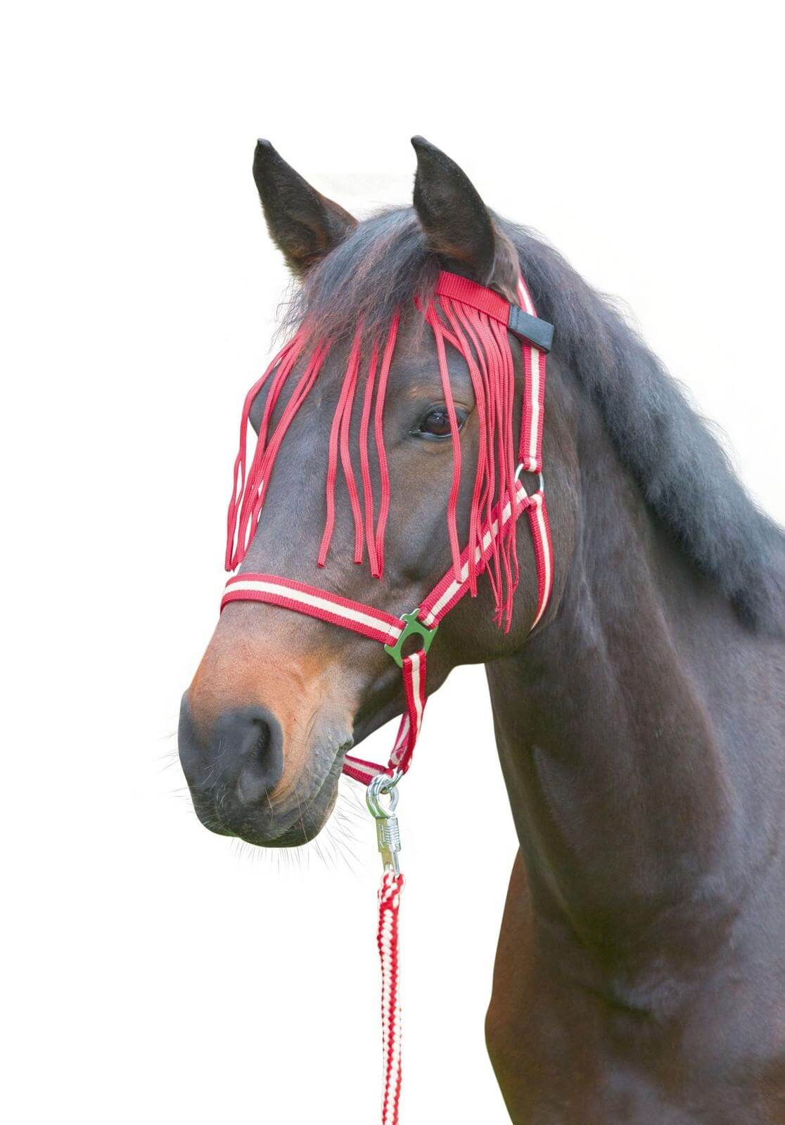 Fliegen-Fransenband mit Klett Fliegenband