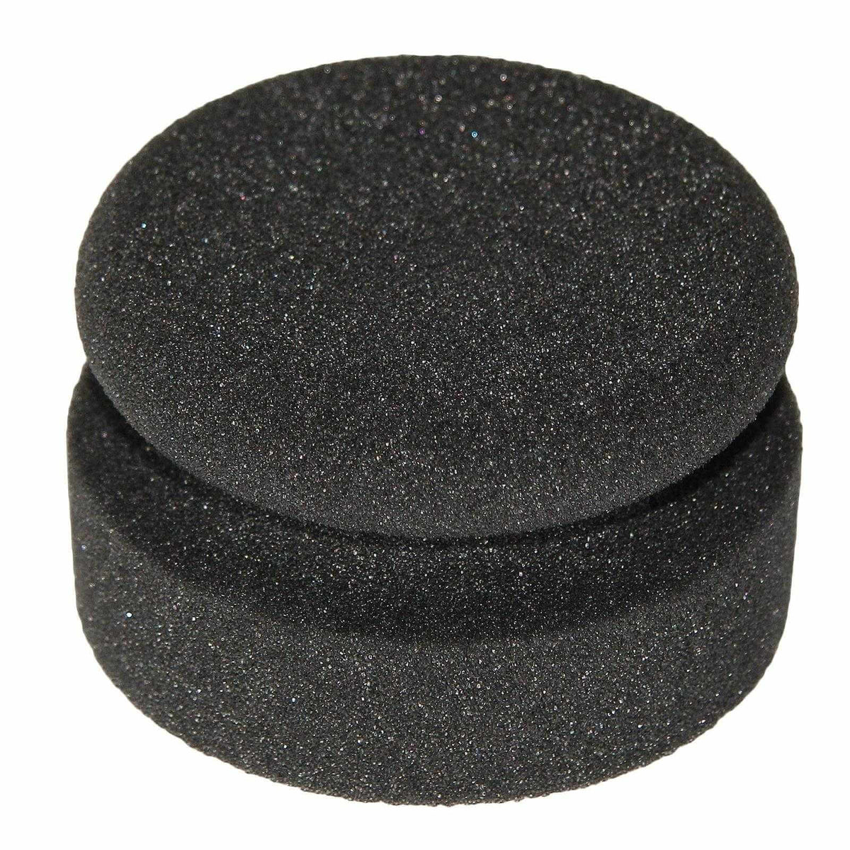 Puckschwamm