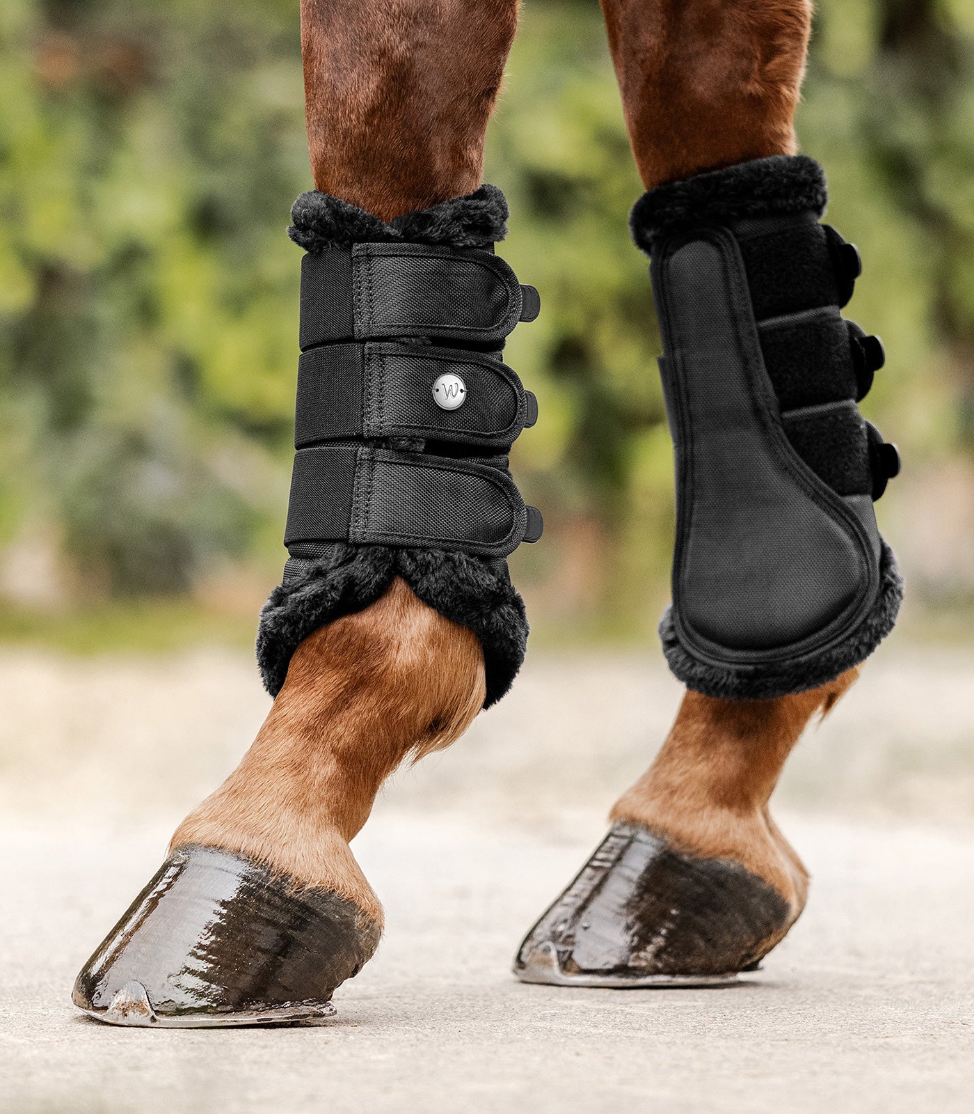 Gamasche Comfort Light Dressurgamasche