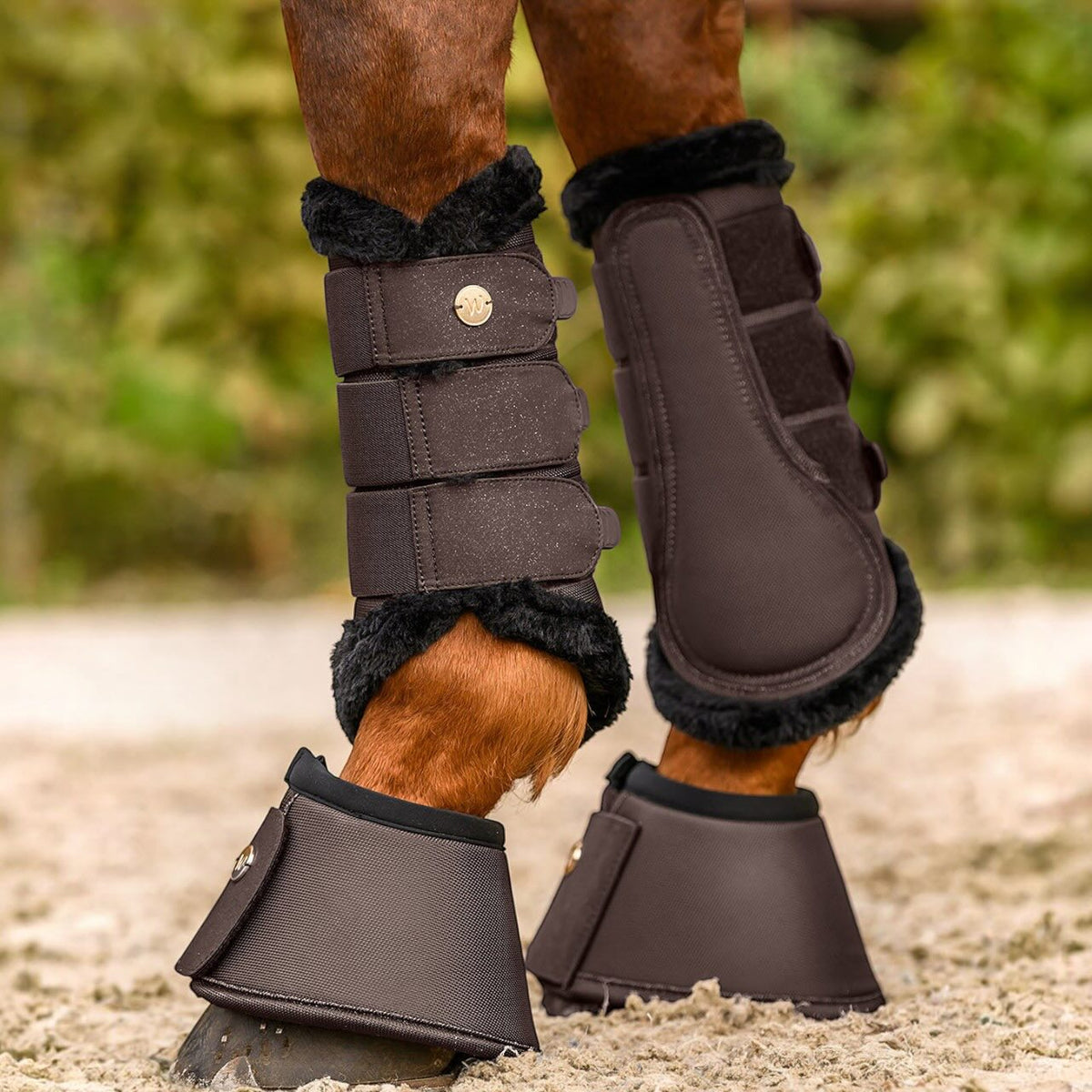 Gambale da dressage Phoenix