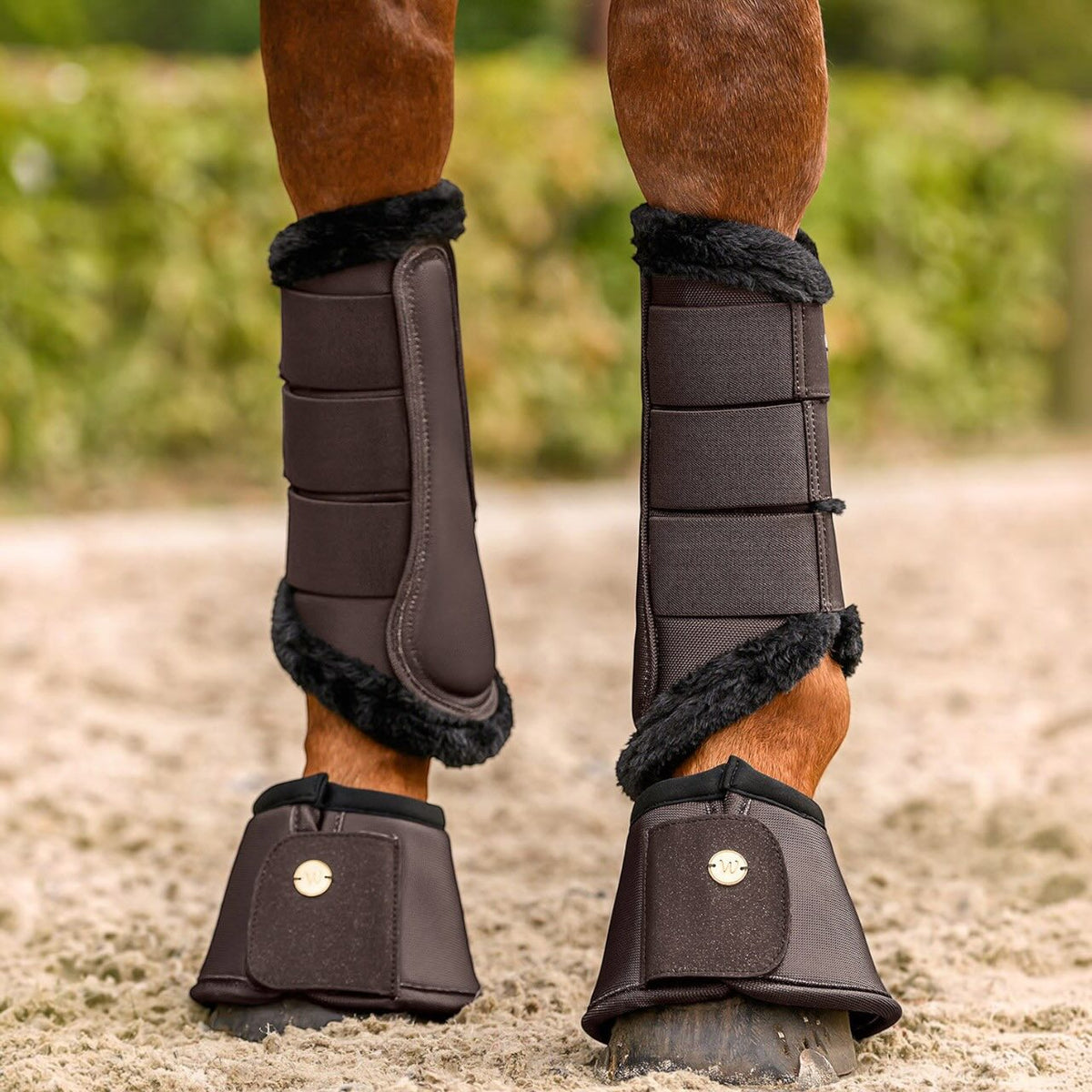 Gambale da dressage Phoenix