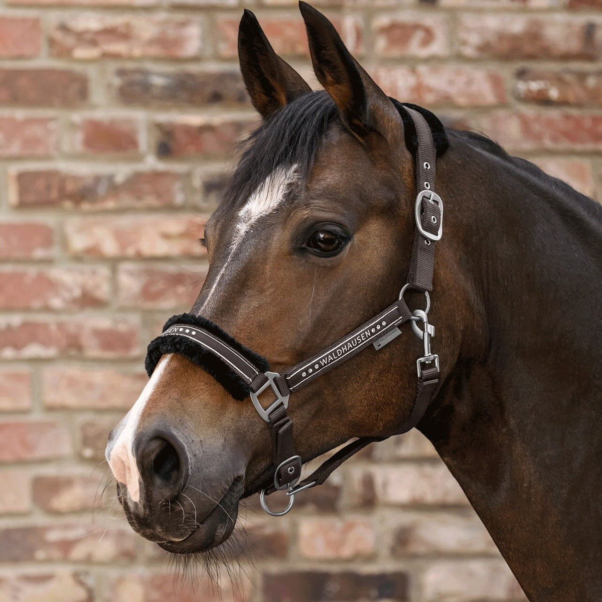 Halfter Elegant Kunstfell Pferdehalfter