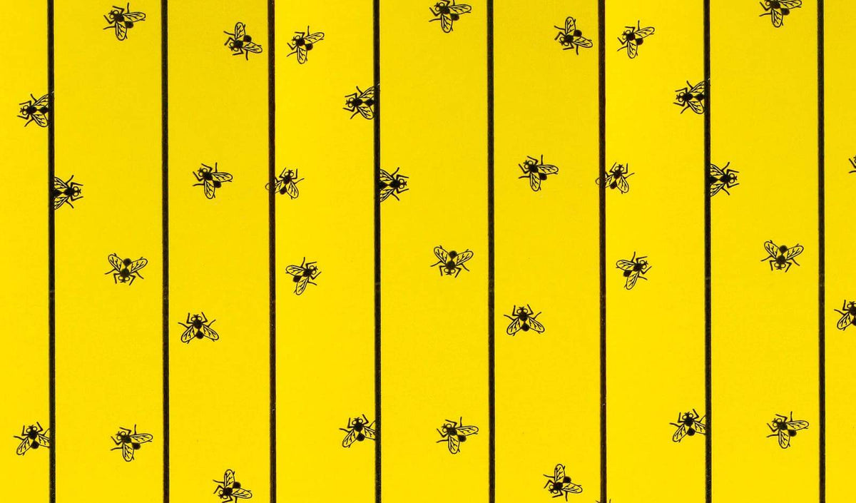 Fliegenfalle Stallfliegenbogen FlyMaster, Gelb, Detailaufnahme mit gefangenen Fliegen.