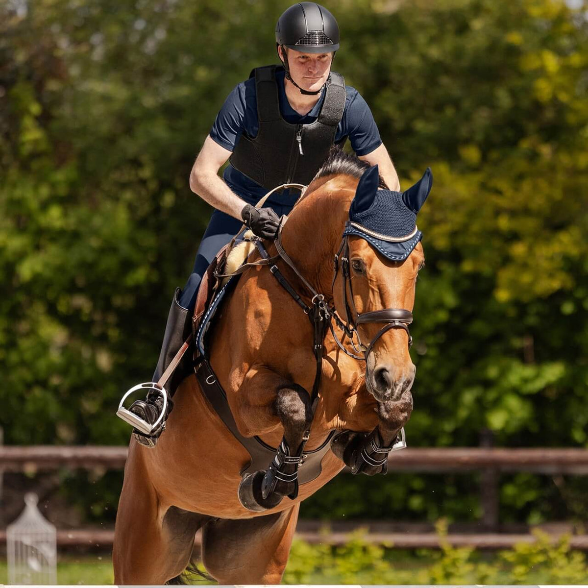 Reithelm Unisex H24 Chrome, schwarz, Reiter auf Pferd im Parcours.